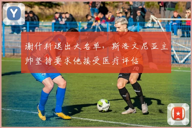 谢什科退出大名单，斯洛文尼亚主帅坚持要求他接受医疗评估