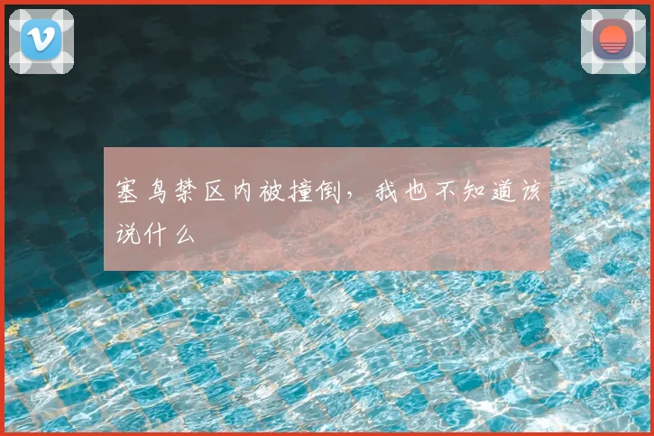 塞鸟禁区内被撞倒，我也不知道该说什么