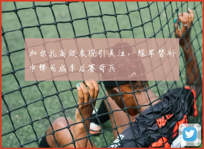 加尔扎高效表现引关注，绿军替补中锋或成季后赛奇兵