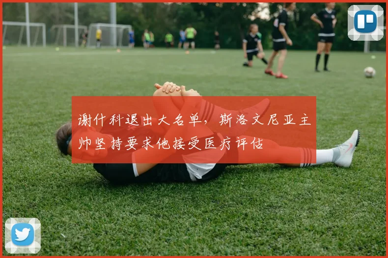 谢什科退出大名单，斯洛文尼亚主帅坚持要求他接受医疗评估