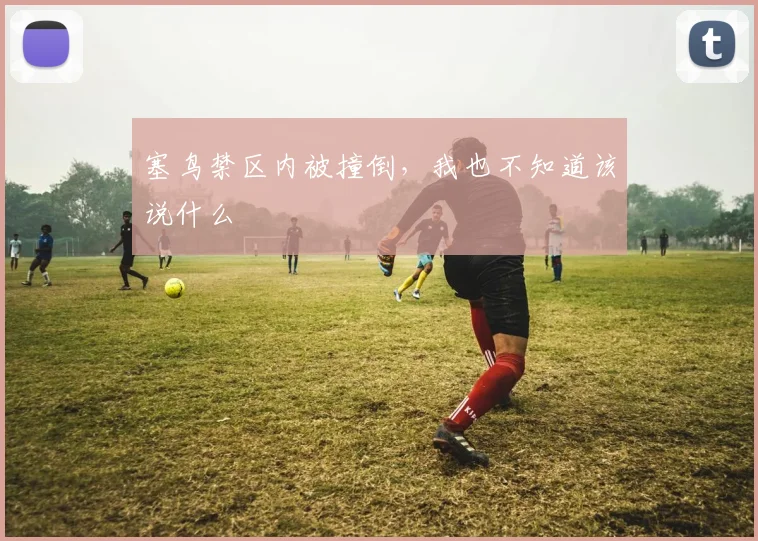 塞鸟禁区内被撞倒，我也不知道该说什么