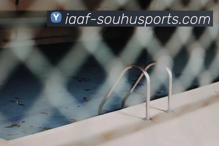 搜狐体育服务体系