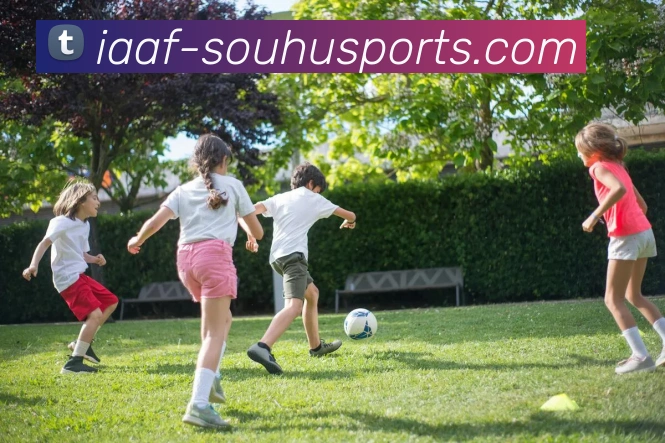 多媒体互动体验